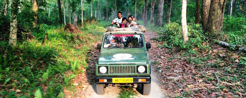 gorumara-safari-route